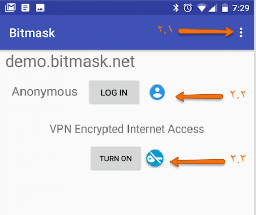 bitmask-guide-android-options